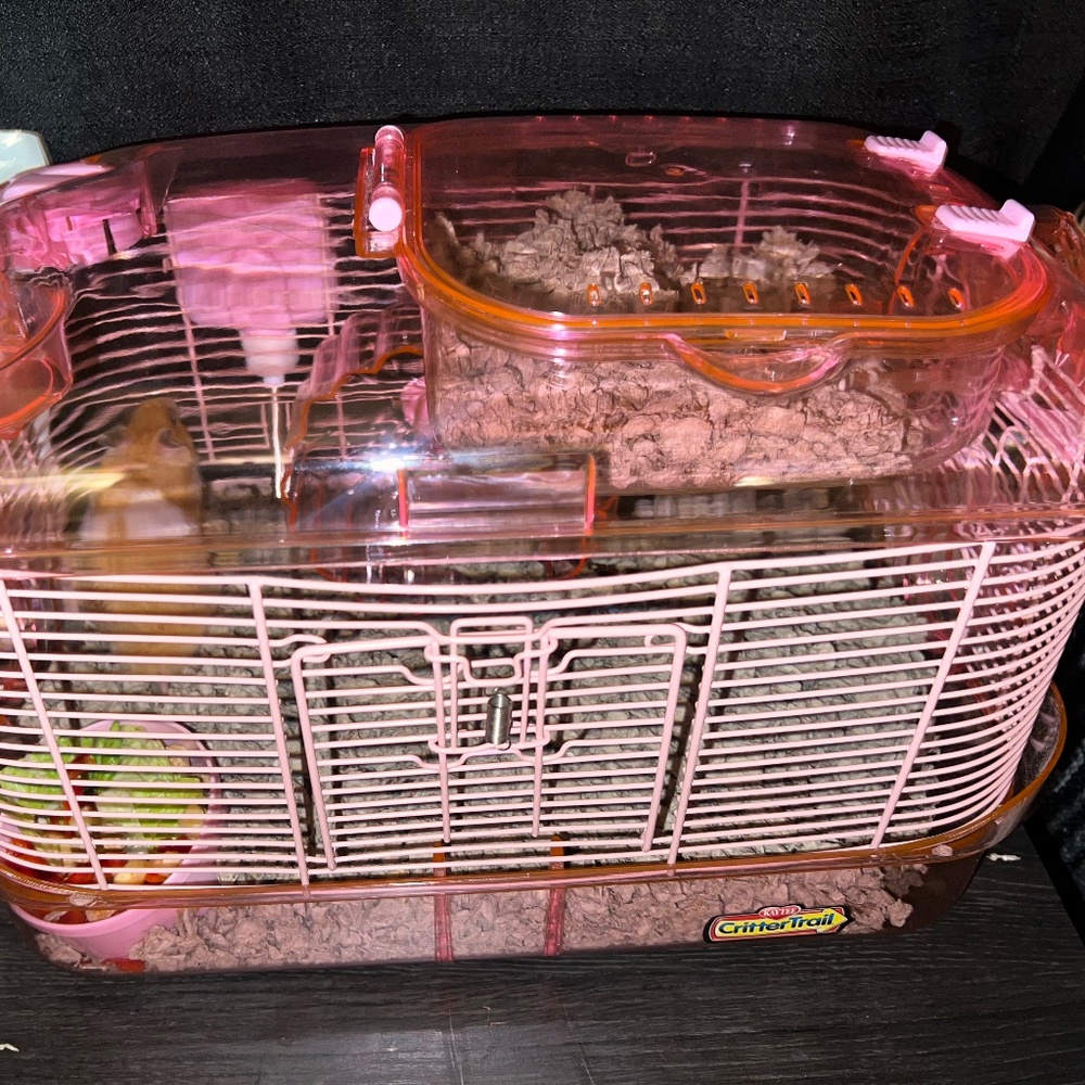 Hamster cage